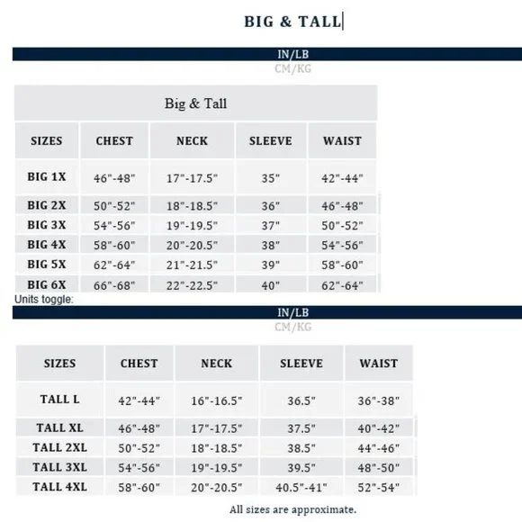 Polo Ralph Lauren- Short Sleeve T- Shirt - Size 1XB - Picture 4 of 4